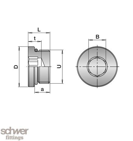 Hexagon head plug