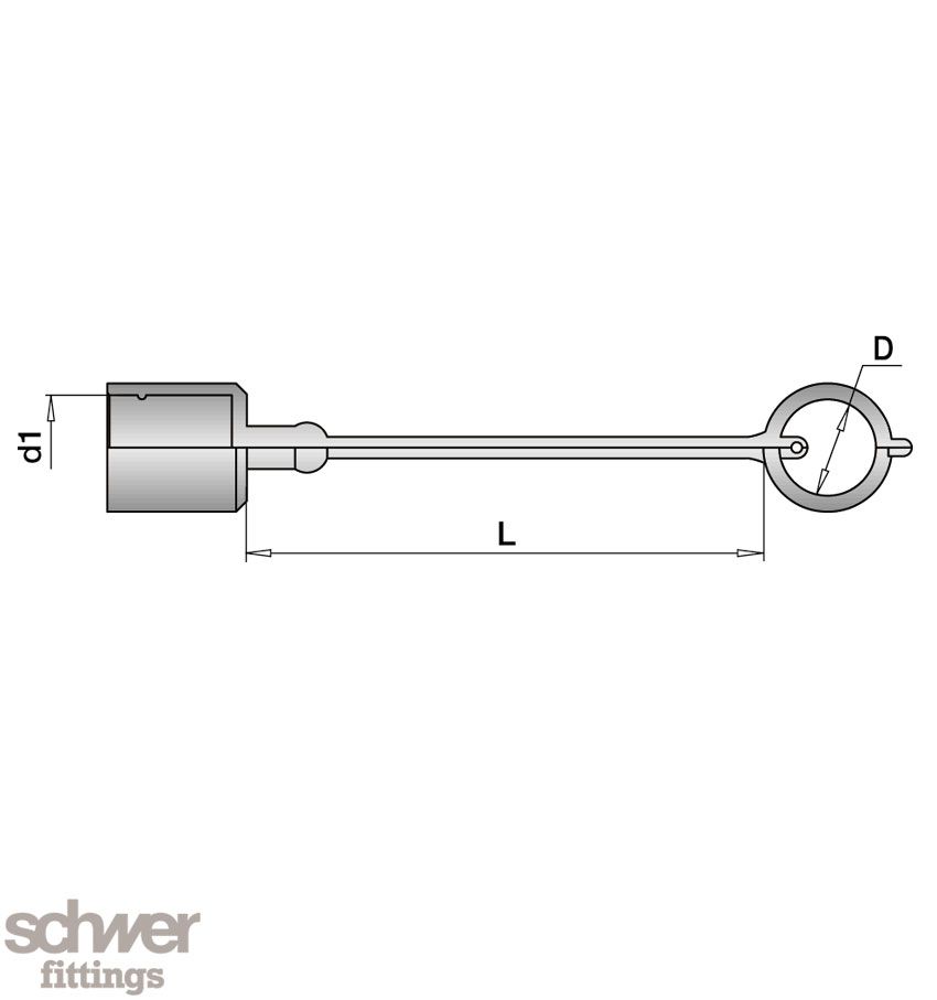 Dust Cap with Strap: for plug