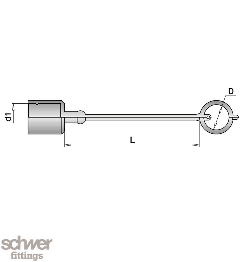 Dust Cap with Strap: for plug